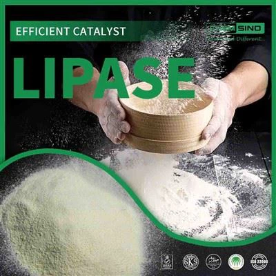 Жизнь, безопасная для кишечника, начинается здесь: преимущества фермента липазы № CAS:9001-62-1