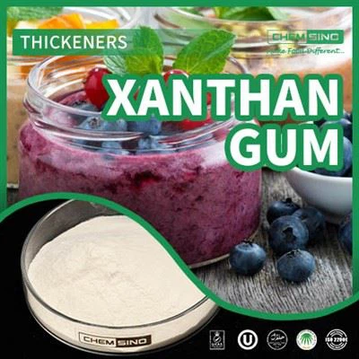 Обогащение вкуса и совершенство текстуры благодаря ксантановой камеди. № CAS:11138-66-2